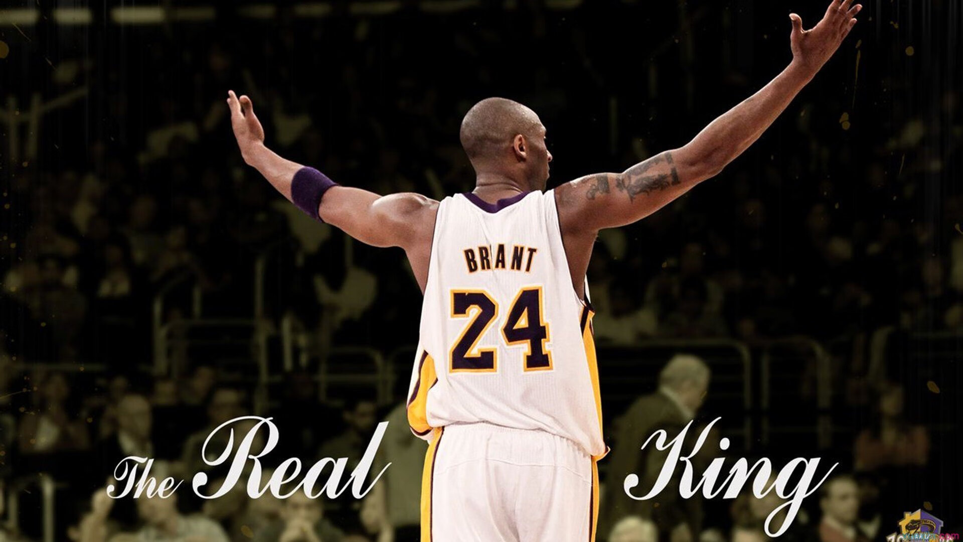 开云体育APP下载-美加墨世界杯之夜,布克防守端锁死对手,诠释现代篮球的全面价值 第2张 开云体育APP下载-美加墨世界杯之夜,布克防守端锁死对手,诠释现代篮球的全面价值 第2张